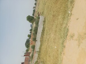   Plot at Harphali – for Sale