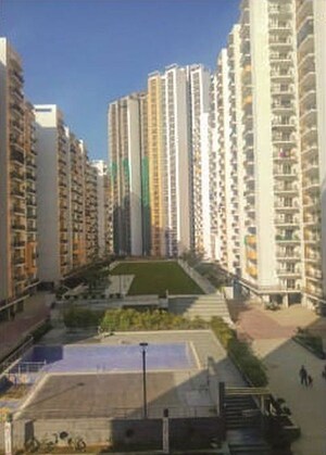 2 BHK Apartment For Rent in Panchsheel Pinnacle, Sector 16 Greater Noida