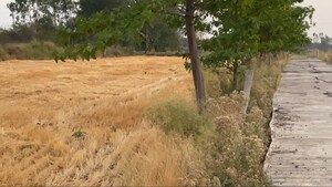 Plot Area in  Plot at Lakhapur – for Sale