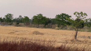  Plot For Sale in Lakhapur