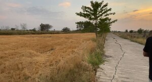 Plot Area in  Plot at Lakhapur – for Sale