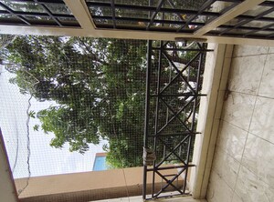 Balcony in 2 BHK Builder Floor at Asrithas Lotus Residency, Hsr Layout – for Rent