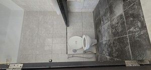 Bathroom in 2 BHK Apartment at Pride World City Brooklyn, Charholi Budruk – for Rent
