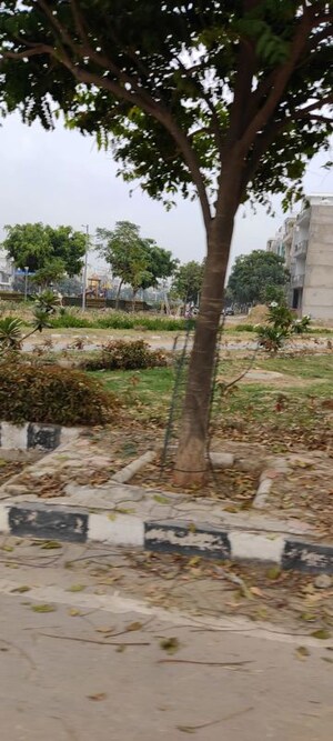 Plot Area in  Plot at GMADA Eco City, North Mullanpur – for Sale