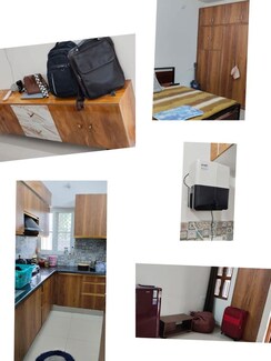 1 BHK Apartment For Rent in Sai Apartment Noida