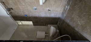 Bathroom in 1 BHK Apartment at Moze Skyways Esfera, Lohgaon – for Rent