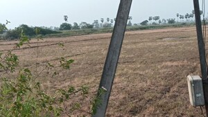 Plot Area in  Plot at Machavaram – for Sale