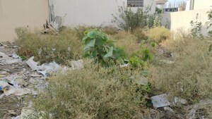 Plot Area in  Plot at Bhel Sangam Colony – for Sale