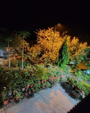  Plot – Garden View at JMD Residency Phase I, Raebareli Road - for Sale