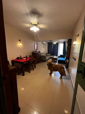 Living Room in 3 BHK Apartment at Alaknanda – for Rent