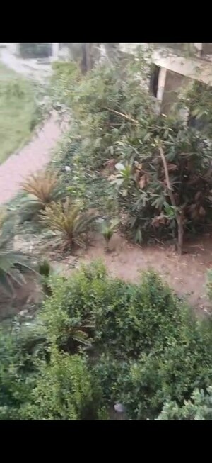 1 BHK Apartment – Garden View at Chaitanya Vihar - for Sale