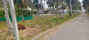 Plot Area in  Plot at Thaluru – for Sale