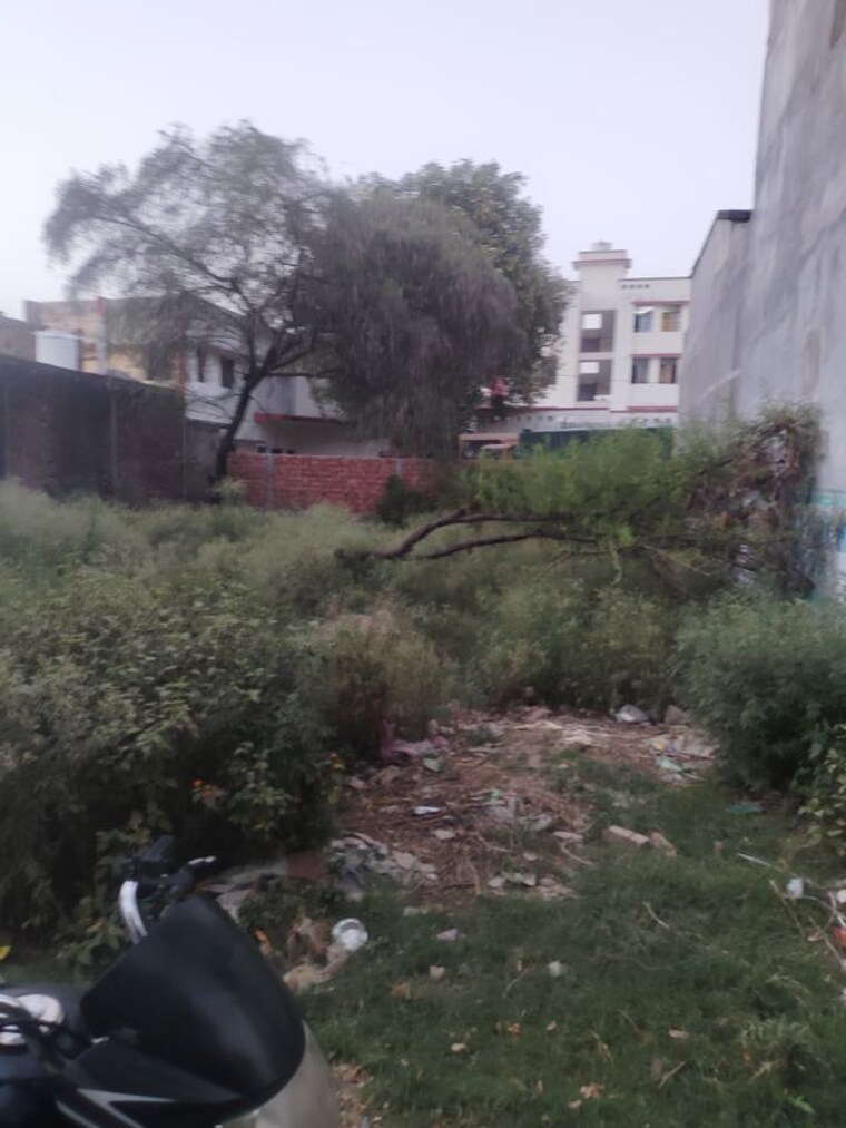undefined, indira nagar  3000 Sq.Ft. Plot In Indira Nagar Lucknow 10393670