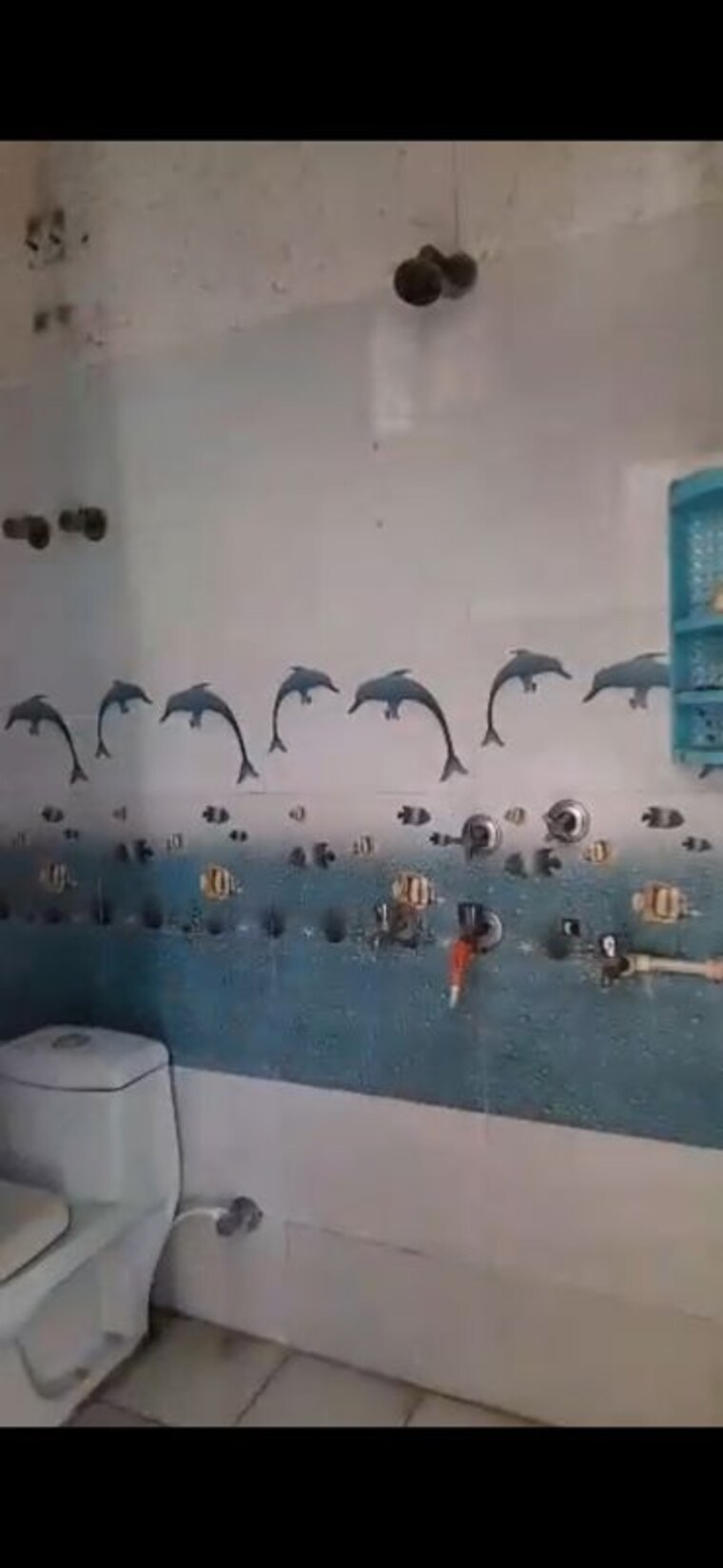 undefined, housing board colony 2 Bedroom 450 Sq.Ft. Builder Floor In Housing Board Colony Faridabad 10393858