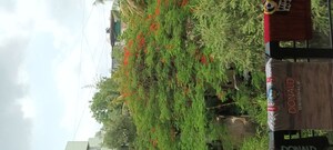  Warehouse For Rent in Anand Park Aundh, Aundh