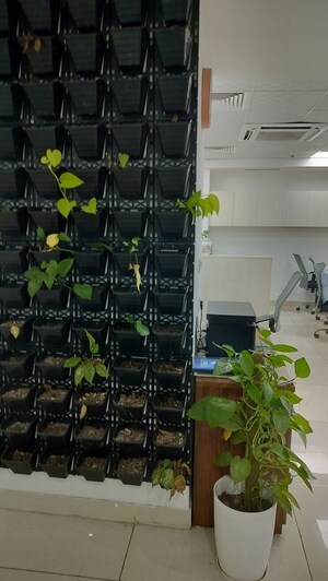 Master Plan in  Office Space at DLF Corporate Greens, Sector 74a – for Rent