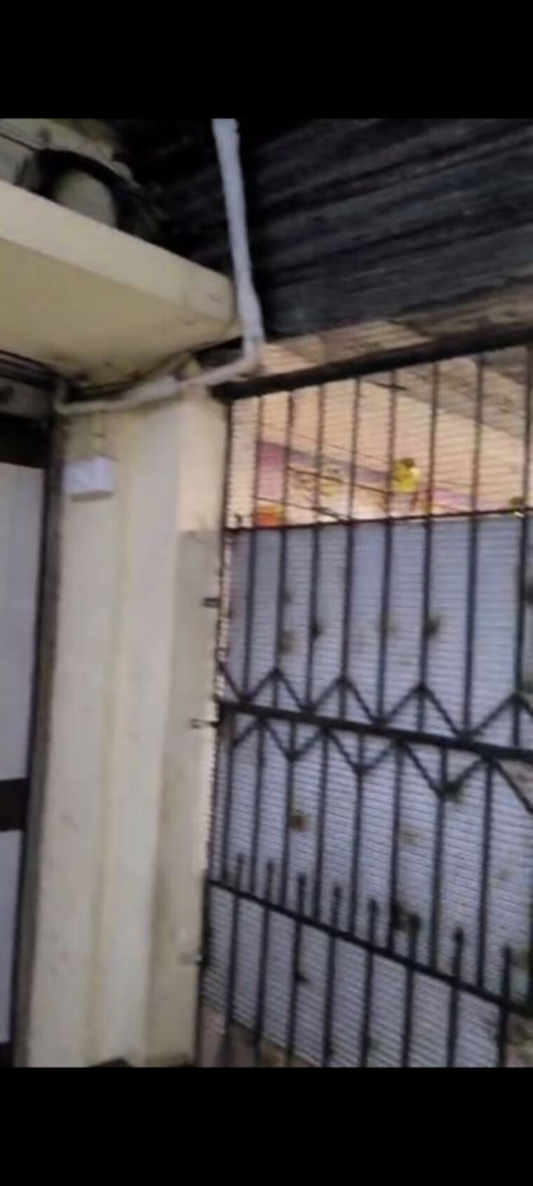 undefined, devratna-nagar-chs Commercial Shop 160 Sq.Ft. In Chunabhatti Mumbai 10394387