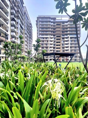 3 BHK Apartment – Exterior View View at Maya Green Lotus Utsav, International Airport Road - for Sale