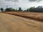 2700 Sq.Ft. Plot in Saraf Bazar