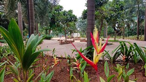 1 BHK Apartment – Garden View at Bhadra Nagar - for Rent