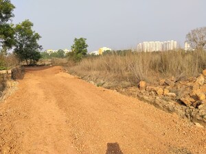 Plot Area in  Plot at Harapur – for Sale