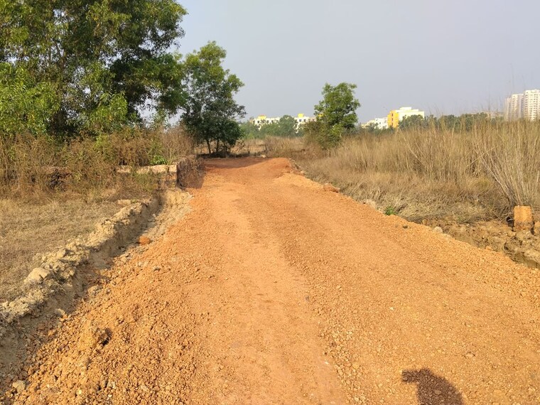 undefined, harapur  1500 Sq.Ft. Plot In Harapur Bhubaneswar 10394511