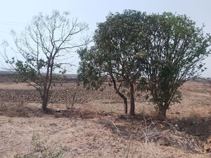 Plot Area in  Plot at Pen – for Sale