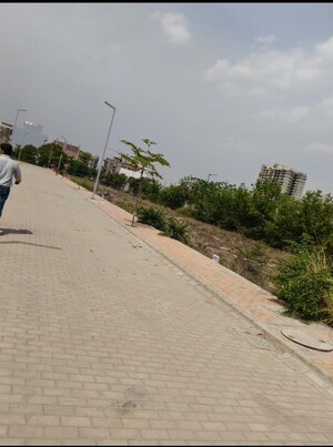  Plot For Sale in Satya Merano Greens, Sector 99a