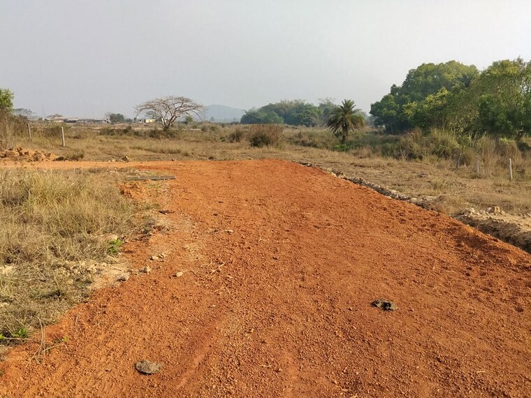 undefined, harapur  2000 Sq.Ft. Plot In Harapur Bhubaneswar 10394905