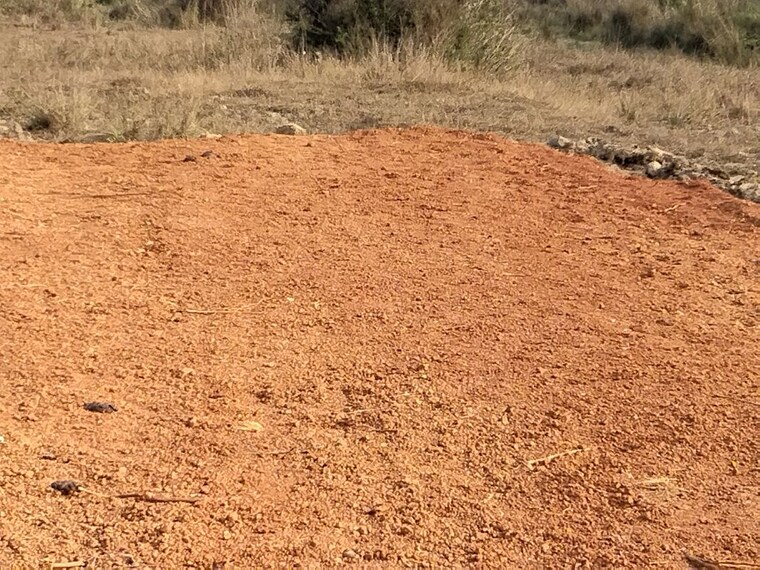 undefined, harapur  2000 Sq.Ft. Plot In Harapur Bhubaneswar 10394905