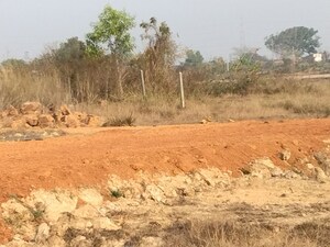 Plot Area in  Plot at Harapur – for Sale