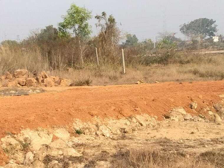 undefined, harapur  2000 Sq.Ft. Plot In Harapur Bhubaneswar 10394905