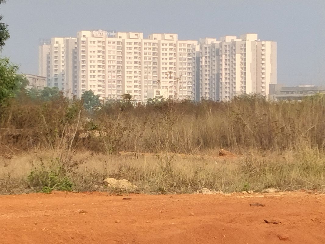 Plot For Sale in Harapur