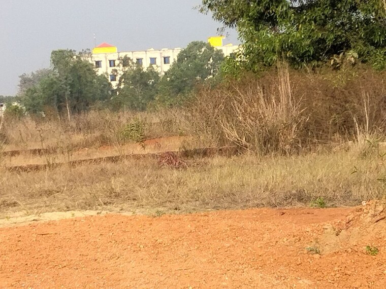 undefined, harapur  2400 Sq.Ft. Plot In Harapur Bhubaneswar 10395017