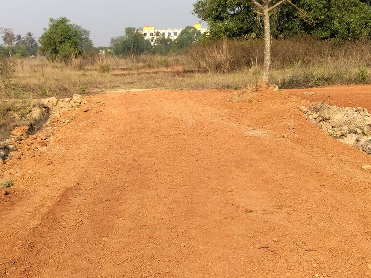 undefined, harapur  2400 Sq.Ft. Plot In Harapur Bhubaneswar 10395017