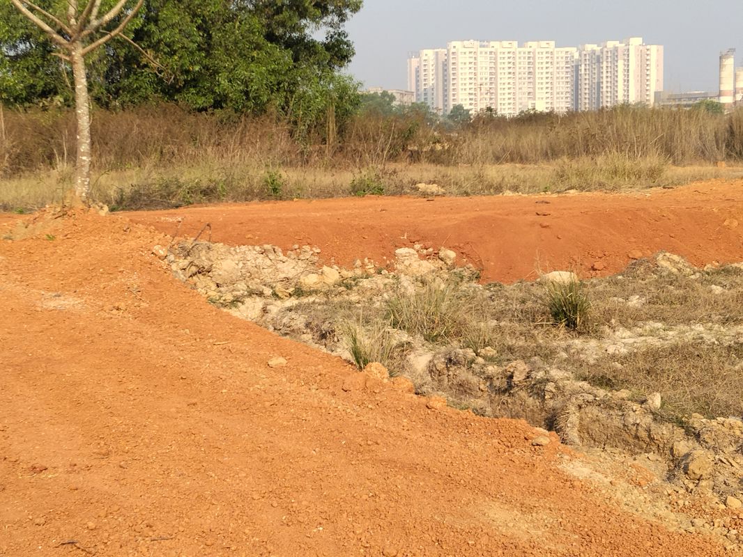 Plot For Sale in Harapur
