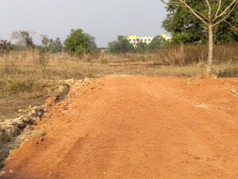 undefined, harapur  2400 Sq.Ft. Plot In Harapur Bhubaneswar 10395017