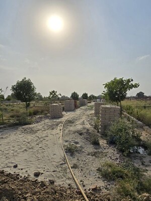 Plot Area in  Plot at Jait – for Sale