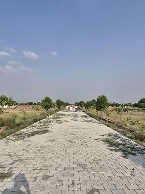 Plot Area in  Plot at Jait – for Sale