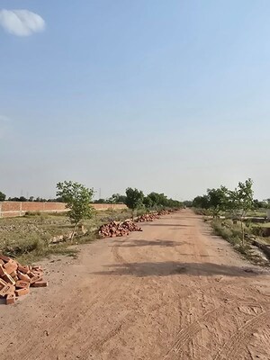 Plot Area in  Plot at Jait – for Sale