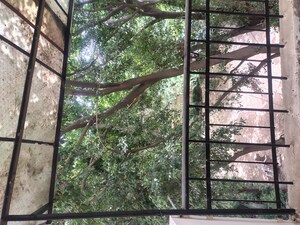 Balcony in 2 BHK Builder Floor at Sheikh Sarai – for Rent