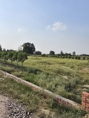 Plot Area in  Plot at Jait – for Sale