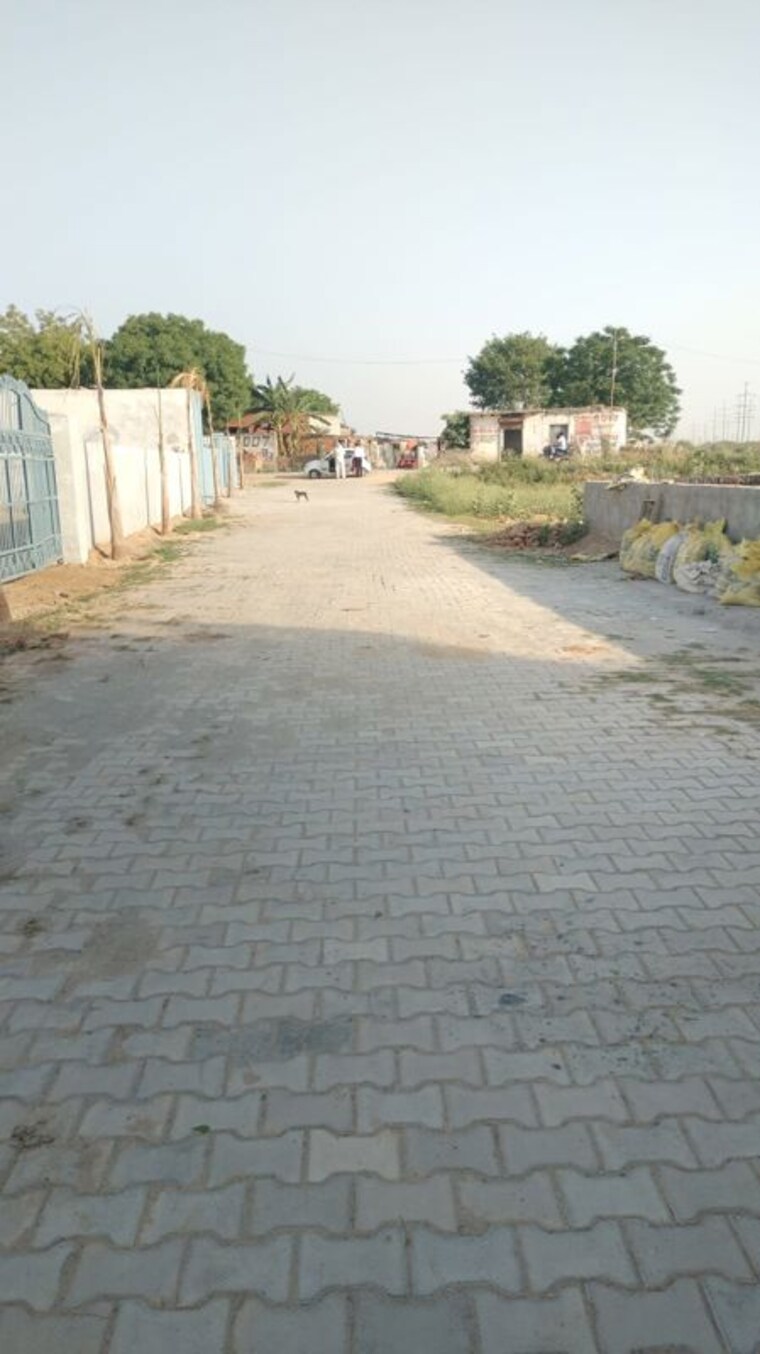 undefined, bhanauta  250 Sq.Yd. Plot In Bhanauta Greater Noida 10395314