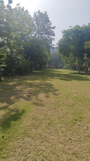 1 BHK Apartment – Garden View at DLF Building 10, Dlf Phase ii - for Rent