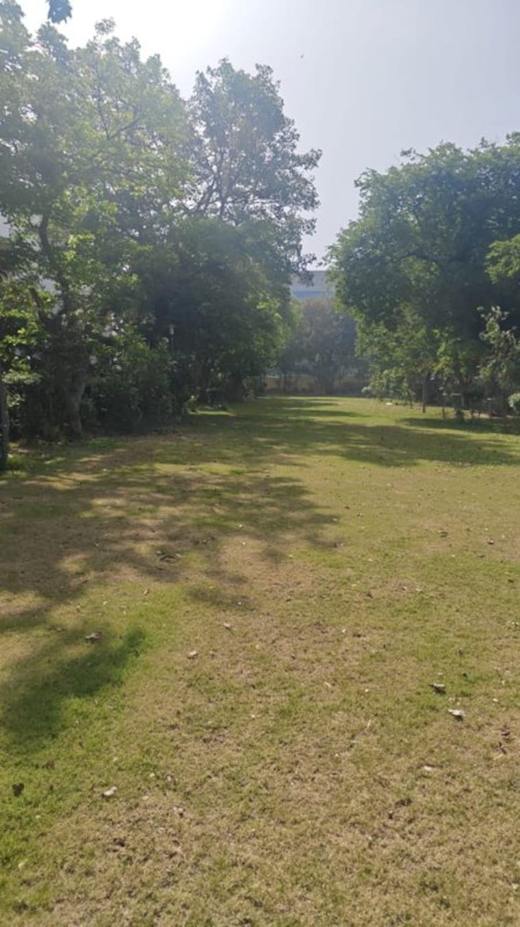 Garden, dlf-building-10 1 Bedroom 550 Sq.Ft. Apartment In Dlf Phase ii Gurgaon 10395336