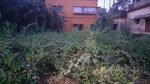 2520 Sq.Ft. Plot in Rajpur Sonarpur