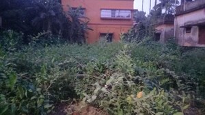  Plot For Sale in Rajpur Sonarpur