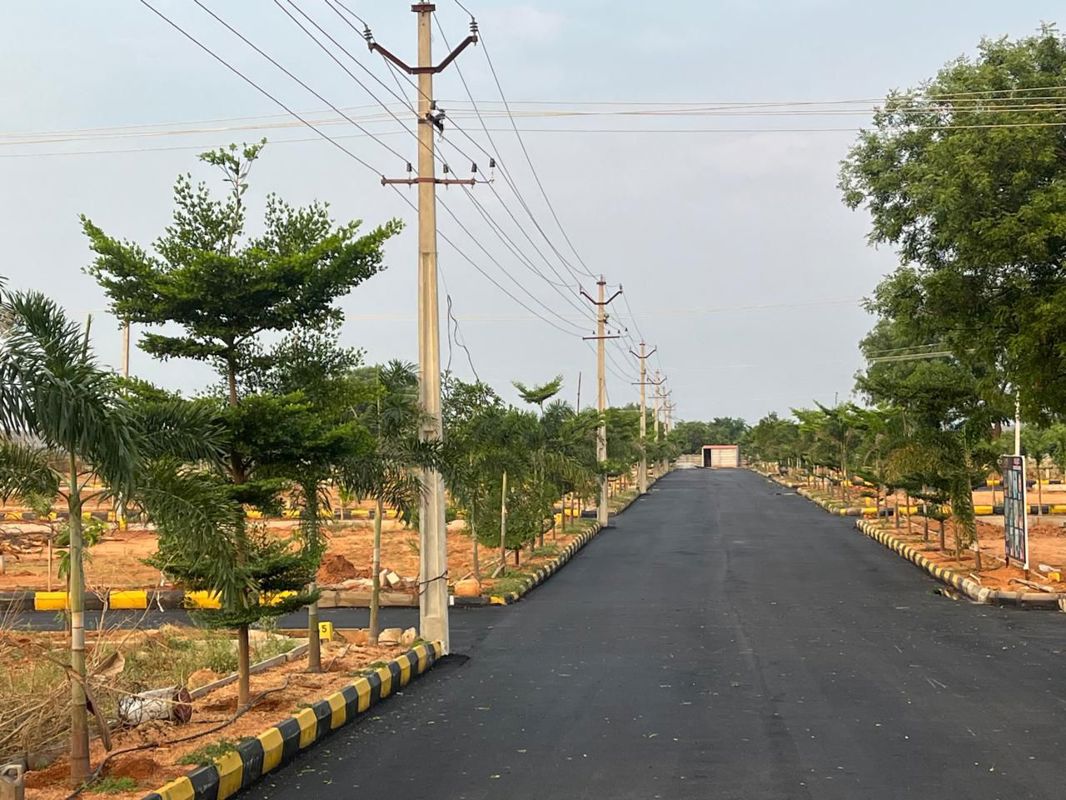 Plot For Sale in Shadnagar