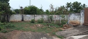 Plot Area in  Plot at Sector 49 – for Sale