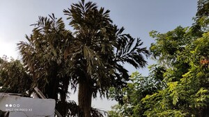  Office Space – Exterior View View at Malviya Nagar - for Rent